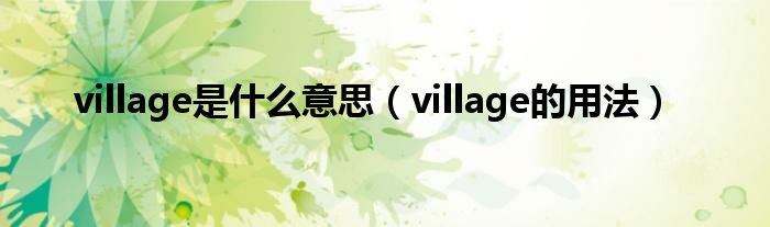 village是什么意思（village的用法）